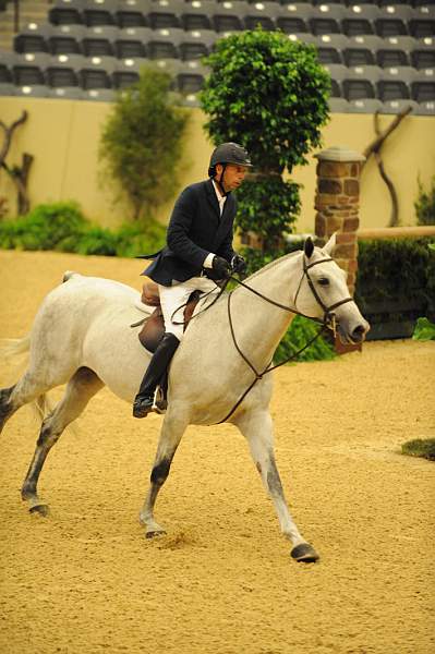 USHJA-Derby-8-20-10-DER_8479-QRnd1-RextheWonderHorse-RichardRhinehart-DDeRosaPhoto.jpg