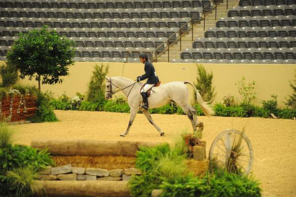 USHJA-Derby-8-20-10-DER_8480-QRnd1-RextheWonderHorse-RichardRhinehart-DDeRosaPhoto.jpg