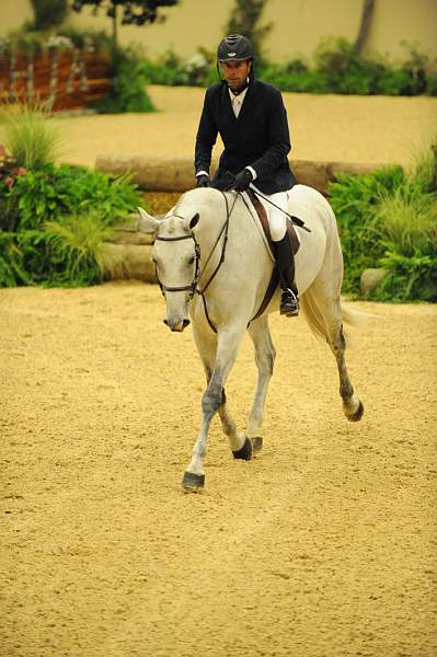 USHJA-Derby-8-20-10-DER_8487-QRnd1-RextheWonderHorse-RichardRhinehart-DDeRosaPhoto.jpg