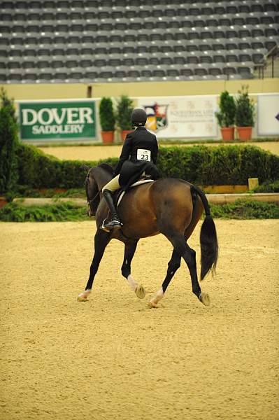 USHJA-Derby-8-20-10-DER_8508-QRnd1-Apparition-JordanSiegel-DDeRosaPhoto.jpg