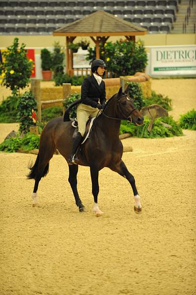 USHJA-Derby-8-20-10-DER_8515-QRnd1-Apparition-JordanSiegel-DDeRosaPhoto.jpg