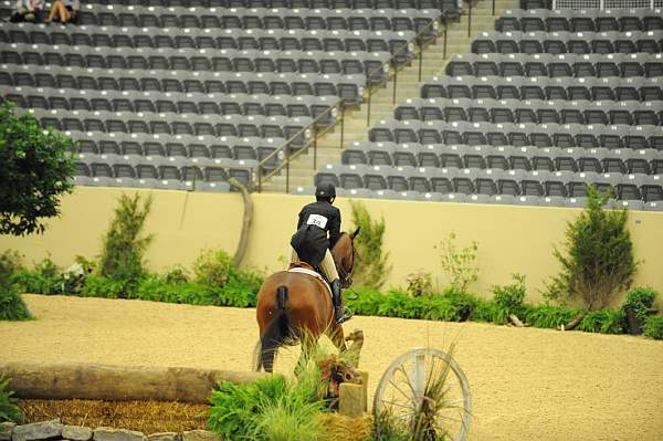 USHJA-Derby-8-20-10-DER_8543-QRnd1-Rosalynn-KelleyFarmer-DDeRosaPhoto.jpg