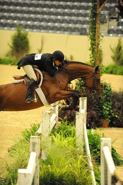 USHJA-Derby-8-20-10-DER_8545-QRnd1-Rosalynn-KelleyFarmer-DDeRosaPhoto.jpg