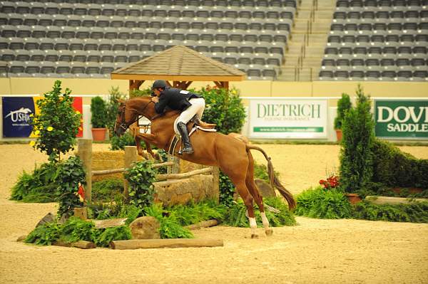 USHJA-Derby-8-20-10-DER_8573-QRnd1-Dubari-WillRoberts-DDeRosaPhoto.jpg