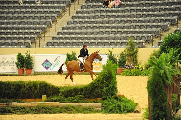 USHJA-Derby-8-20-10-DER_8574-QRnd1-Dubari-WillRoberts-DDeRosaPhoto.jpg