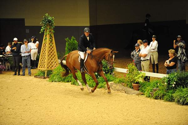 USHJA-Derby-8-20-10-DER_8578-QRnd1-Dubari-WillRoberts-DDeRosaPhoto.jpg