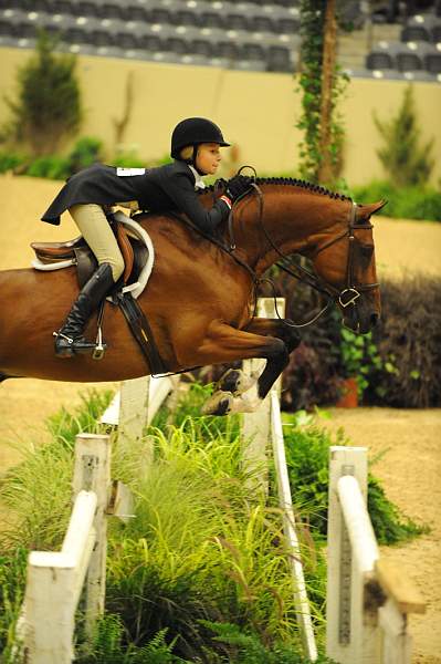 USHJA-Derby-8-20-10-DER_8596-QRnd1-Genuine-LillieKeenan-DDeRosaPhoto.jpg