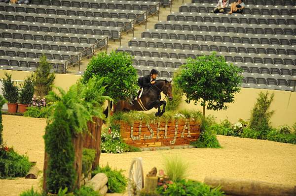 USHJA-Derby-8-20-10-DER_8634-QRnd1-CrownAffair-JohnFrench-DDeRosaPhoto.jpg