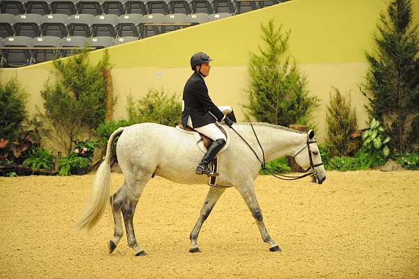 USHJA-Derby-8-20-10-DER_8652-QRnd1-Argentum-PeterPletcher-DDeRosaPhoto.jpg