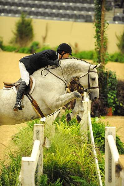 USHJA-Derby-8-20-10-DER_8657-QRnd1-Argentum-PeterPletcher-DDeRosaPhoto.jpg