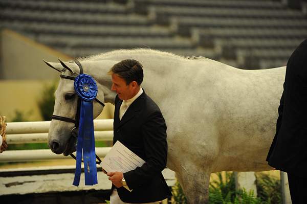 USHJA-Derby-8-20-10-DER_9189-QRnd1-SummerPlace-ScottStewart-DDeRosaPhoto.jpg