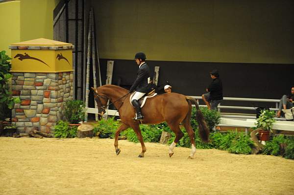 USHJA-Derby-8-21-10-CrseWk-Parade-DER_9397-DDeRosaPhoto.jpg