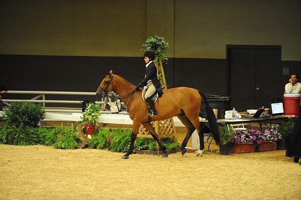 USHJA-Derby-8-21-10-CrseWk-Parade-DER_9424-DDeRosaPhoto.jpg