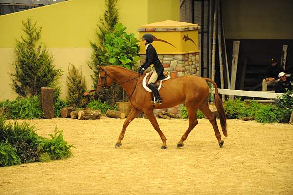 USHJA-Derby-8-21-10-CrseWk-Parade-DER_9444-DDeRosaPhoto.jpg