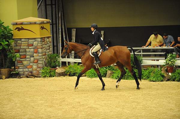 USHJA-Derby-8-21-10-CrseWk-Parade-DER_9476-DDeRosaPhoto.jpg