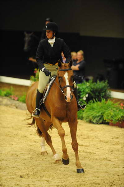 USHJA-Derby-8-21-10-Rnd2-DER1_9605-JerseyBoy-JenniferAlfano-DDeRosaPhoto.JPG