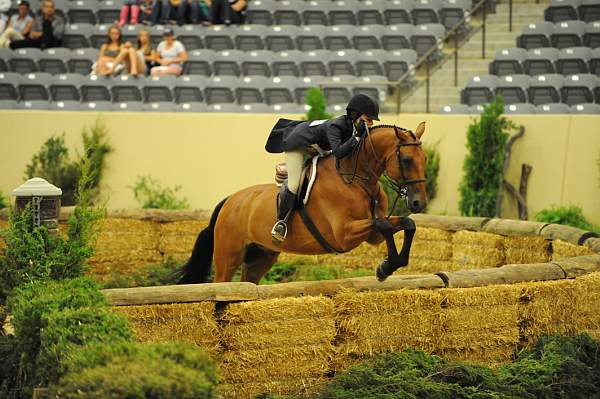 USHJA-Derby-8-21-10-Rnd2-DER1_9677-Borealus-KatieDinan-DDeRosaPhoto.JPG