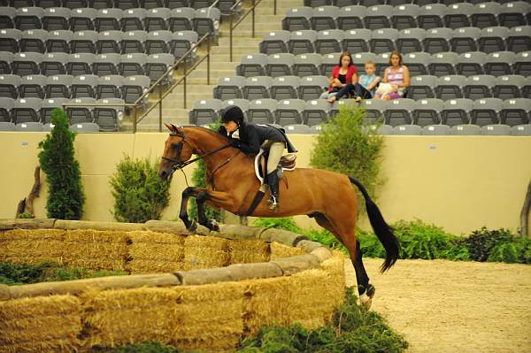 USHJA-Derby-8-21-10-Rnd2-DER1_9678-Borealus-KatieDinan-DDeRosaPhoto.JPG