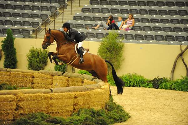 USHJA-Derby-8-21-10-Rnd2-DER1_9721-NLFShakespeare-PeterPletcher-DDeRosaPhoto.JPG