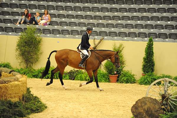 USHJA-Derby-8-21-10-Rnd2-DER1_9793-Lonestar-HuntTosh-DDeRosaPhoto.JPG