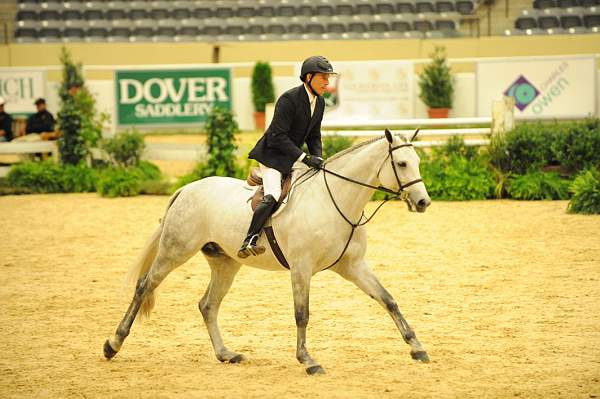 USHJA-Derby-8-21-10-Rnd2-DER1_9803-SummerPlace-ScottStewart-DDeRosaPhoto.JPG