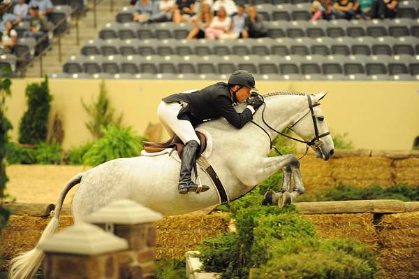 USHJA-Derby-8-21-10-Rnd2-DER1_9804-SummerPlace-ScottStewart-DDeRosaPhoto.JPG