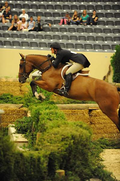 USHJA-Derby-8-21-10-Rnd2-DER1_9839-CRHaribo-ColleenAcosta-DDeRosaPhoto.JPG