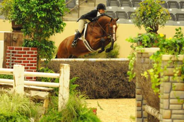 USHJA-Derby-8-21-10-Rnd2-DER1_9858-Taken-KelleyFarmer-DDeRosaPhoto.jpg