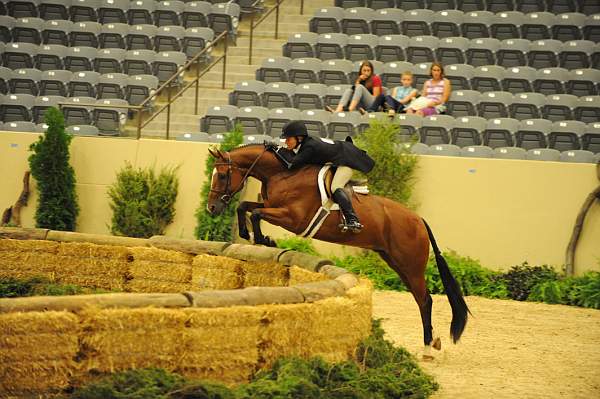 USHJA-Derby-8-21-10-Rnd2-DER1_9860-Taken-KelleyFarmer-DDeRosaPhoto.JPG