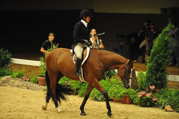 USHJA-Derby-8-21-10-Rnd2-DER1_9862-Taken-KelleyFarmer-DDeRosaPhoto.JPG