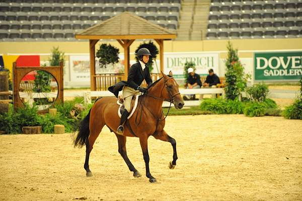 USHJA-Derby-8-21-10-Rnd2-DER1_9887-Castello-ElizabethBoyd-DDeRosaPhoto.JPG