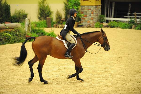 USHJA-Derby-8-21-10-Rnd2-DER1_9899-Castello-ElizabethBoyd-DDeRosaPhoto.JPG