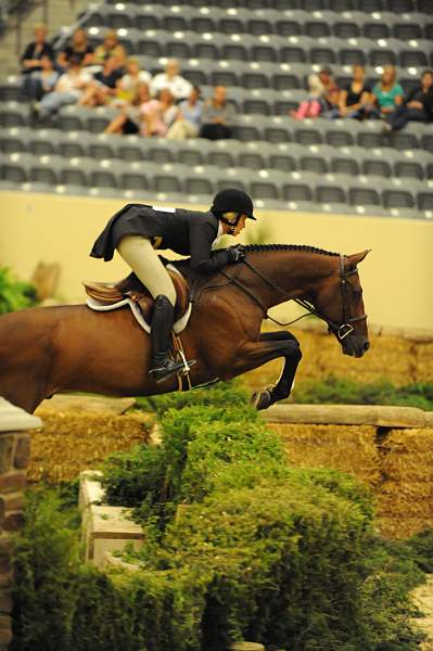 USHJA-Derby-8-21-10-Rnd2-DER1_9905-Maui-TiffanyMorrissey-DDeRosaPhoto.JPG