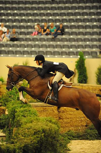 USHJA-Derby-8-21-10-Rnd2-DER1_9909-Maui-TiffanyMorrissey-DDeRosaPhoto.JPG