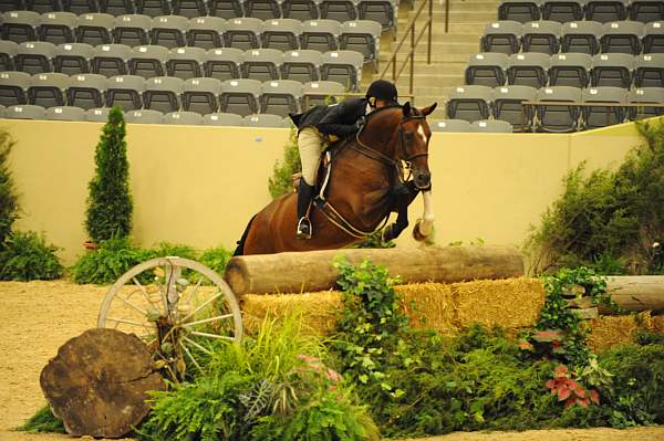 USHJA-Derby-8-21-10-Rnd2-DER1_9914-Maui-TiffanyMorrissey-DDeRosaPhoto.JPG