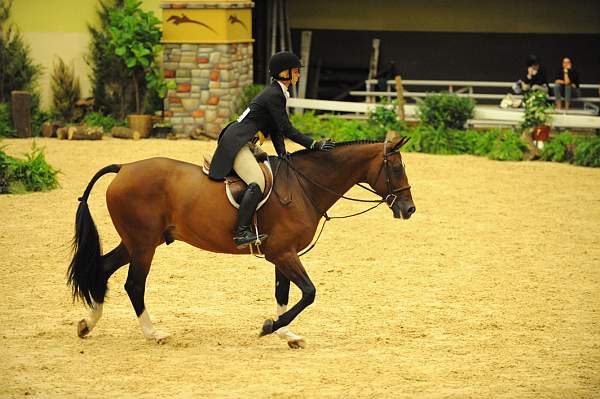 USHJA-Derby-8-21-10-Rnd2-DER1_9916-Maui-TiffanyMorrissey-DDeRosaPhoto.JPG