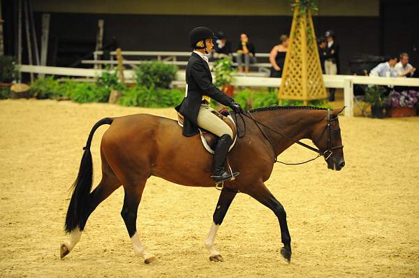 USHJA-Derby-8-21-10-Rnd2-DER1_9917-Maui-TiffanyMorrissey-DDeRosaPhoto.JPG