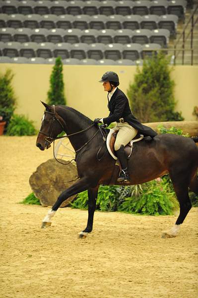 USHJA-Derby-8-21-10-Rnd2-DER1_9931-Posse-ColleenAcosta-DDeRosaPhoto.JPG