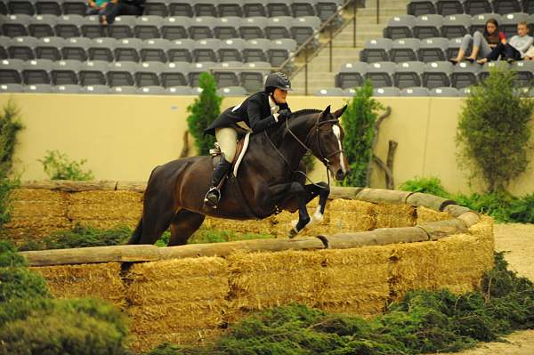 USHJA-Derby-8-21-10-Rnd2-DER1_9934-Posse-ColleenAcosta-DDeRosaPhoto.JPG