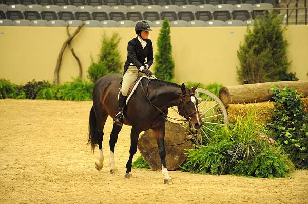 USHJA-Derby-8-21-10-Rnd2-DER1_9943-Posse-ColleenAcosta-DDeRosaPhoto.JPG