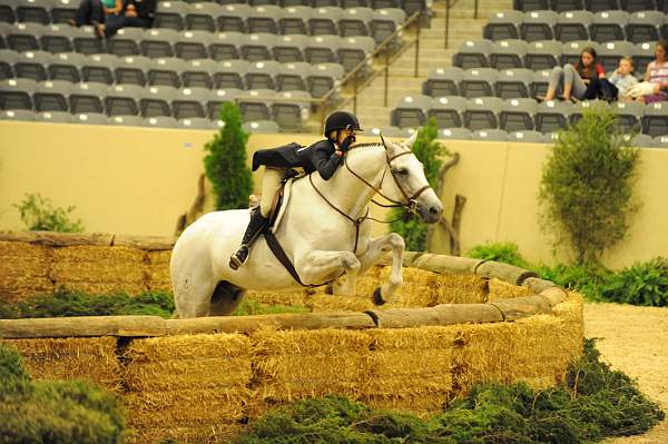 USHJA-Derby-8-21-10-Rnd2-DER1_9954-CCoastZ-LillieKeenan-DDeRosaPhoto.JPG