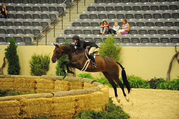 USHJA-Derby-8-21-10-Rnd2-DER1_9984-Francesca-MaggieJayne-DDeRosaPhoto.JPG