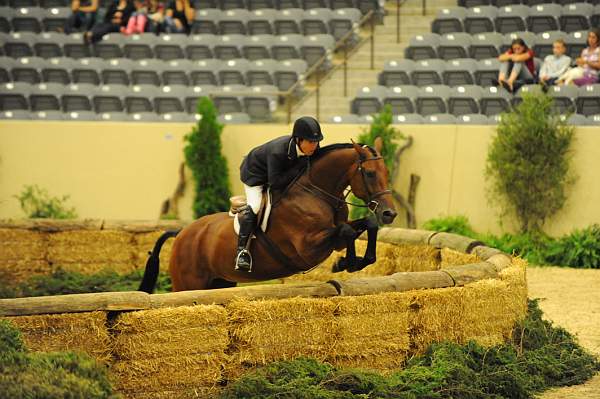 USHJA-Derby-8-21-10-Rnd2-DER1_9996-TellAll-PeterPletcher-DDeRosaPhoto.JPG