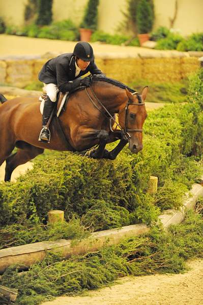 USHJA-Derby-Rnd2-DER2_0096-TellAll-PeterPletcher-DDeRosaPhoto.jpg