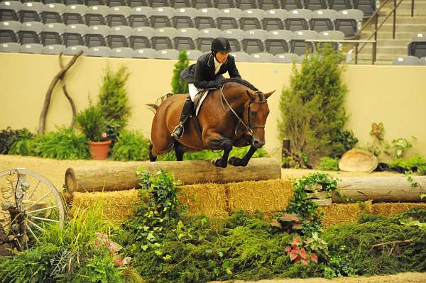 USHJA-Derby-Rnd2-DER2_0103-TellAll-PeterPletcher-DDeRosaPhoto.jpg