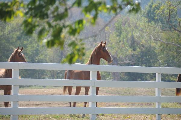 WEG1-9-24-10-Tour_0913-DDeRosaPhoto.jpg