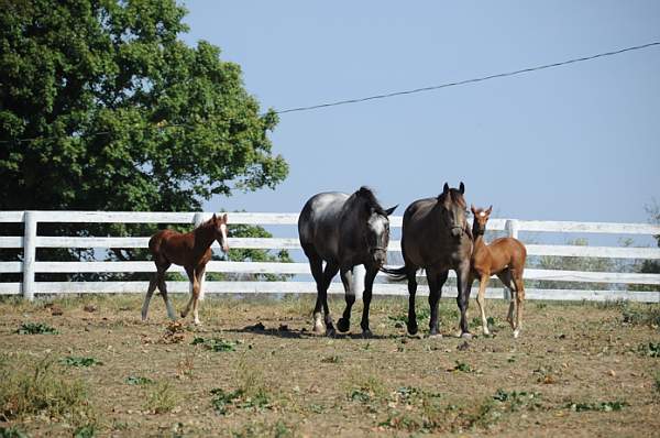 WEG1-9-24-10-Tour_0948-DDeRosaPhoto.jpg