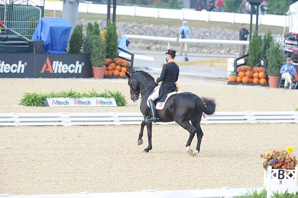 WEG1-9-28-10-DressageGP-5568-DDeRosaPhoto.jpg