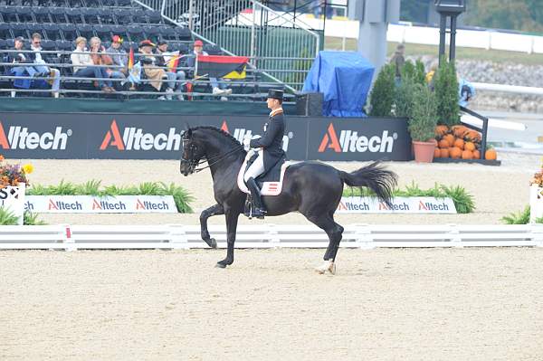 WEG1-9-28-10-DressageGP-5571-DDeRosaPhoto.jpg