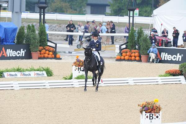 WEG1-9-28-10-DressageGP-5602-DDeRosaPhoto.jpg